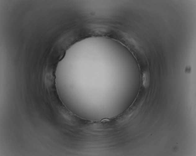 X0000094921395200712131504