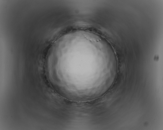 X0000094921397200712131504