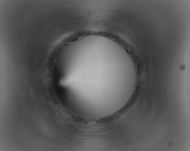 X0000094921398200712131504