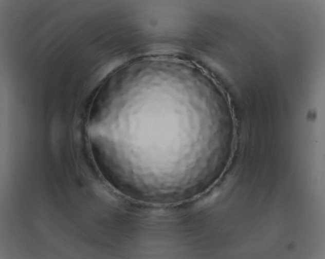 X0000094921401200712131504