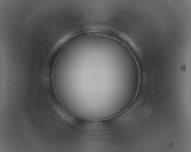 X0000094921403200712131504