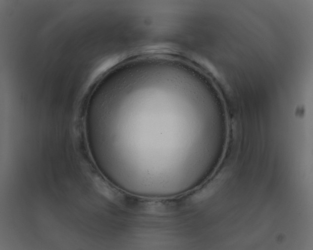 X0000094921405200712131505