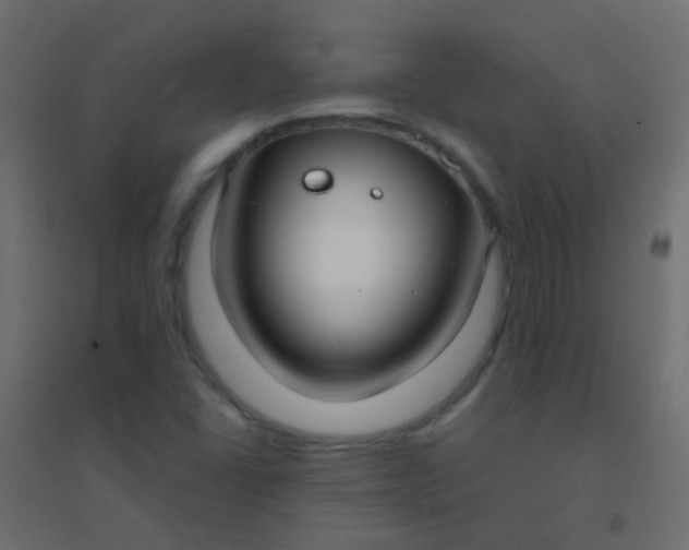 X0000094921406200712131505