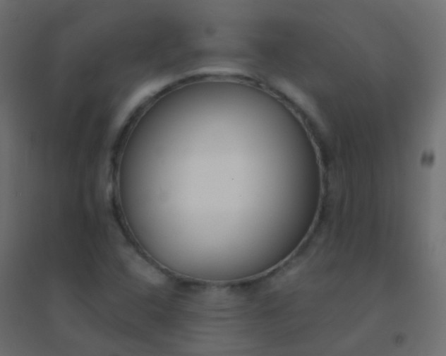 X0000094921408200712131505