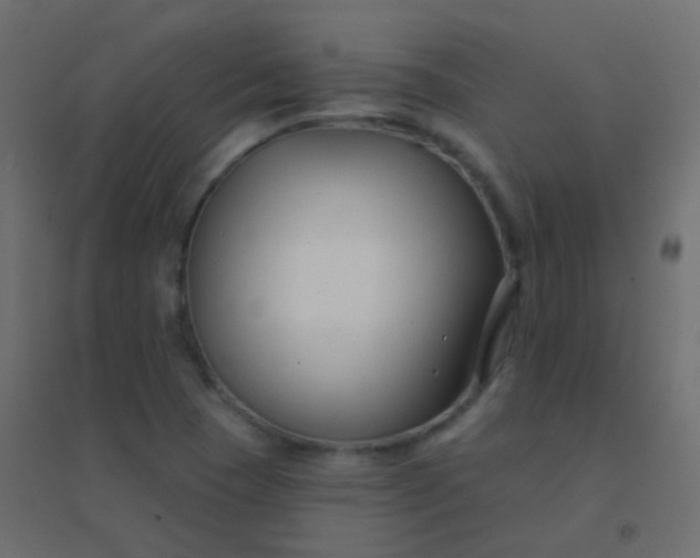 X0000094921409200712131505