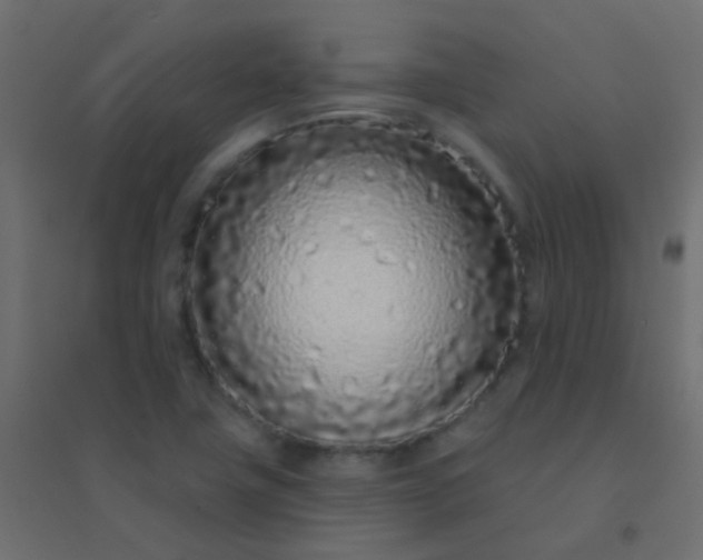 X0000094921411200712131505