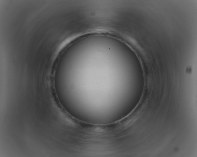 X0000094921412200712131505