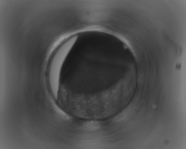 X0000094921414200712131505