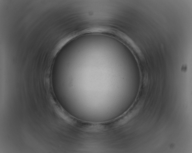 X0000094921417200712131505