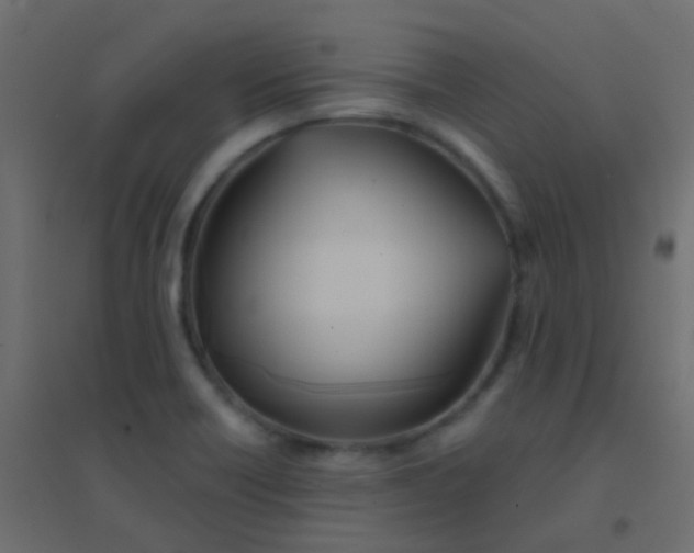 X0000094921418200712131505