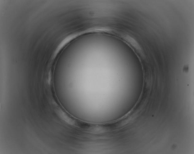 X0000094921420200712131505