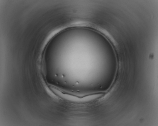 X0000094921421200712131505