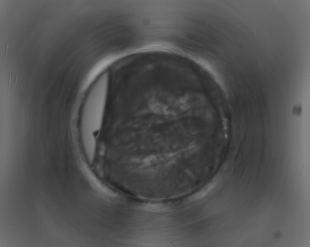 X0000094921422200712131505