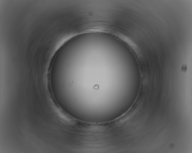 X0000094921423200712131505