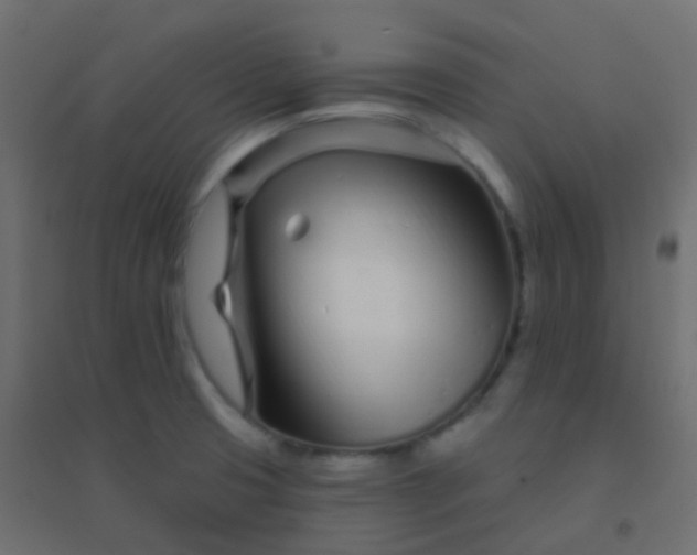 X0000094921425200712131505