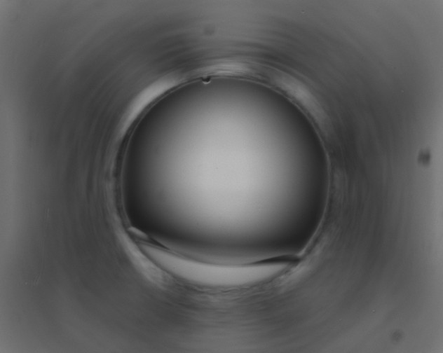 X0000094921426200712131505