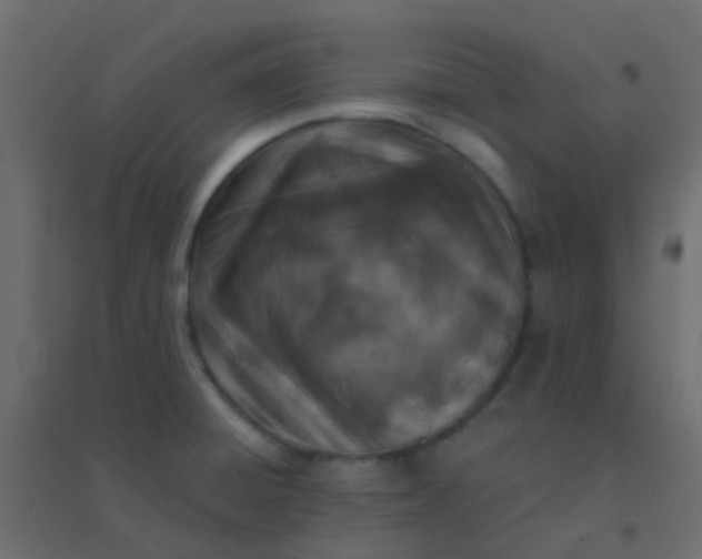 X0000094921428200712131505