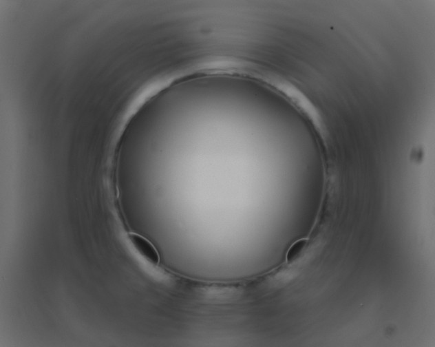 X0000094921429200712131505