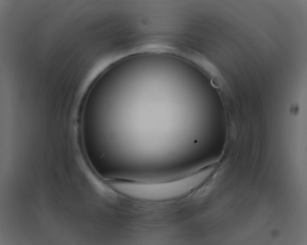 X0000094921430200712131505