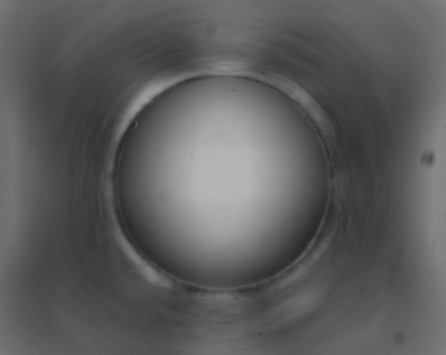 X0000094921432200712131505