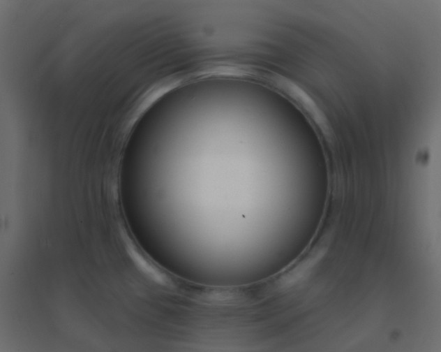 X0000094921433200712131505