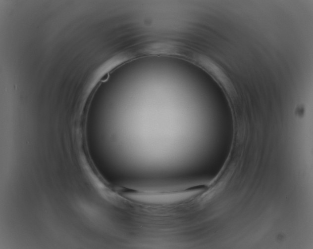 X0000094921434200712131505