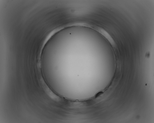 X0000094921436200712131505