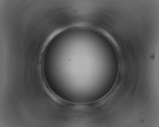 X0000094921437200712131505