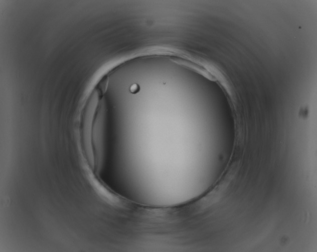 X0000094921438200712131505