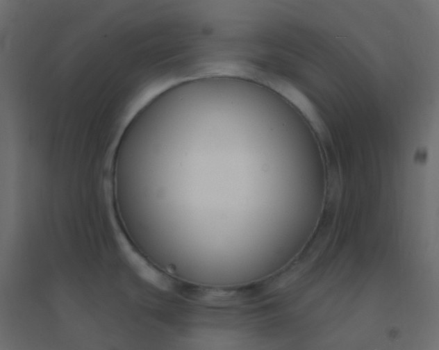 X0000094921439200712131505