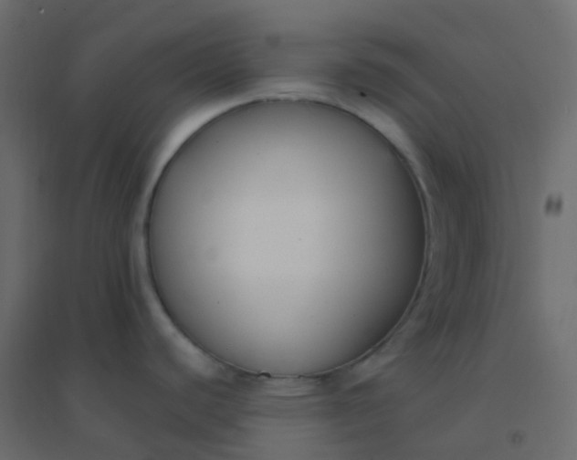 X0000094921440200712131505