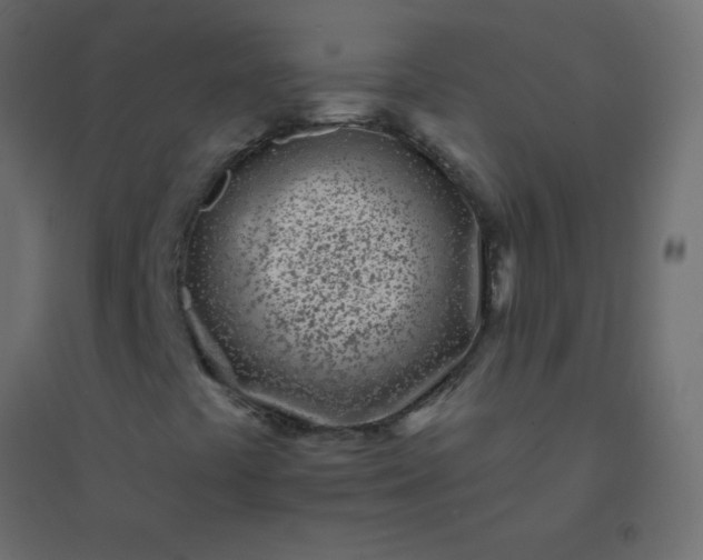 X0000094921441200712131504