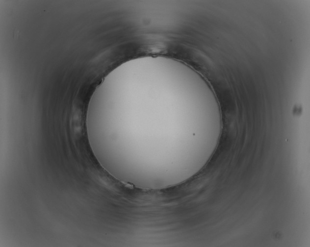 X0000094921442200712131504