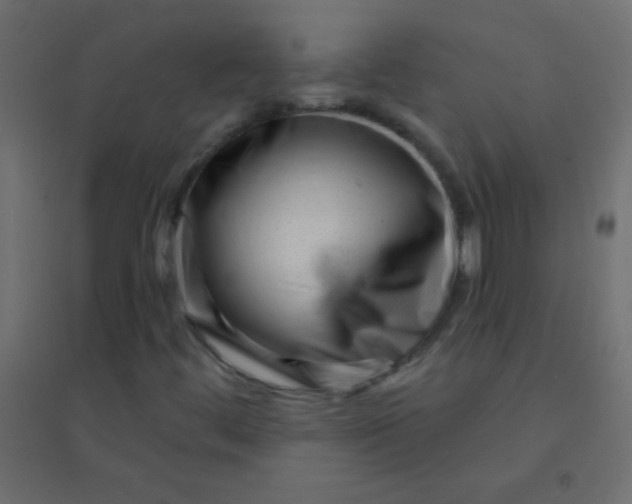 X0000094921444200712131504