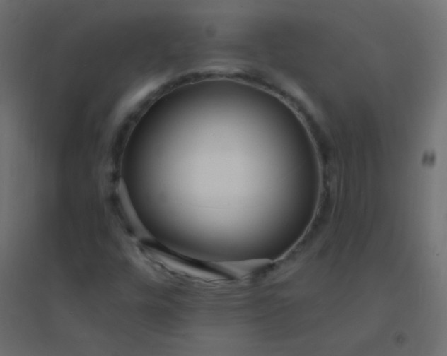 X0000094921448200712131504