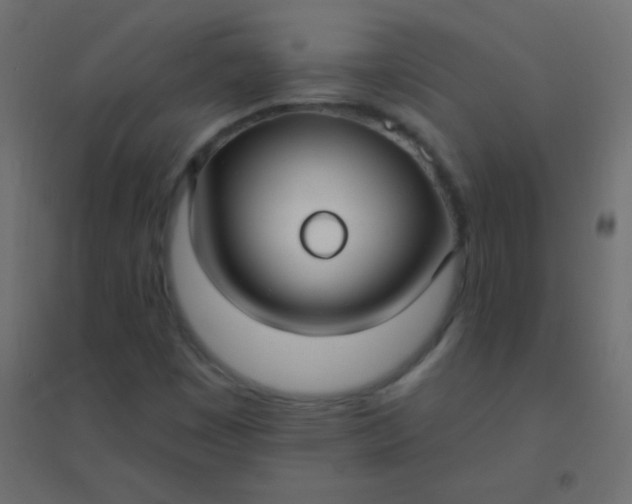 X0000094921449200712131504