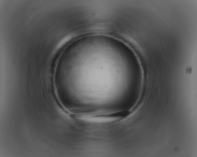 X0000094921450200712131504