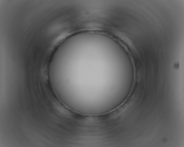 X0000094921451200712131504