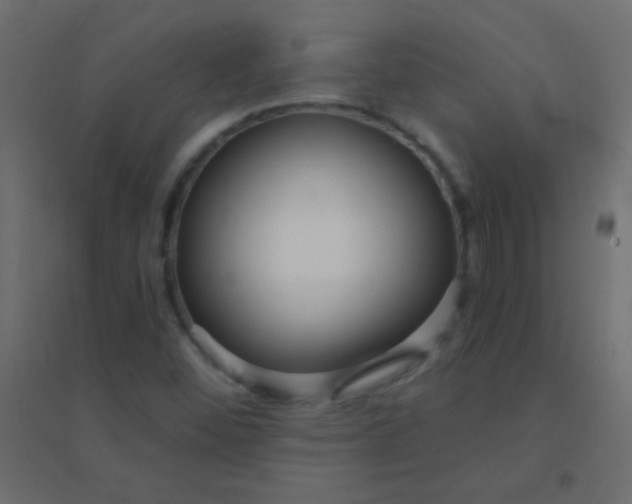 X0000094921452200712131504