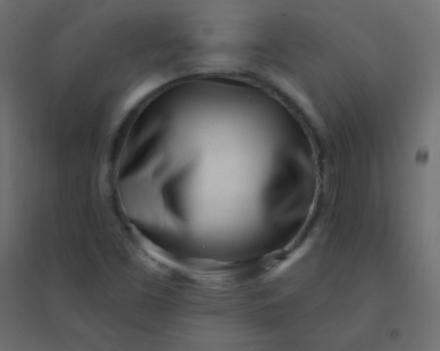 X0000094921453200712131504