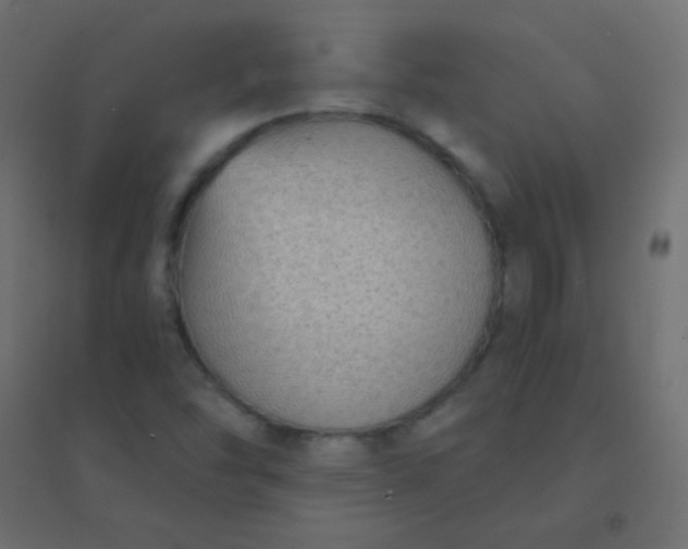 X0000094921454200712131504