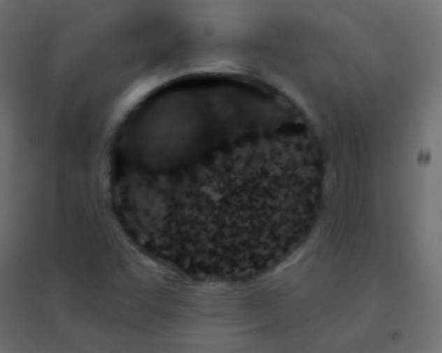 X0000094921455200712131504