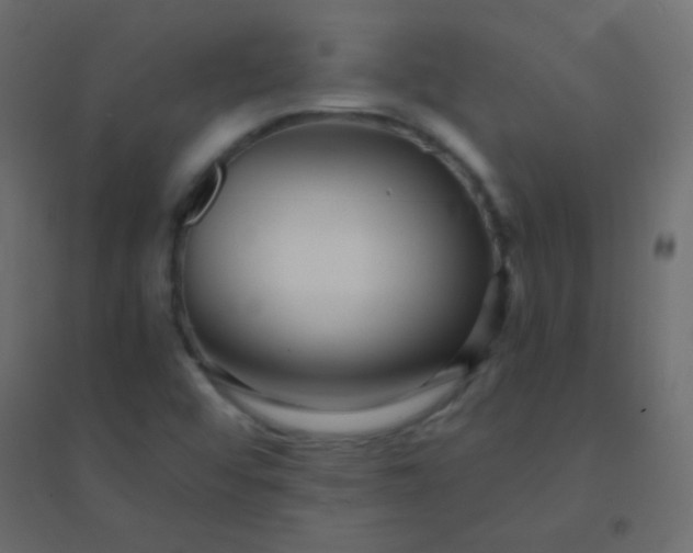 X0000094921456200712131504