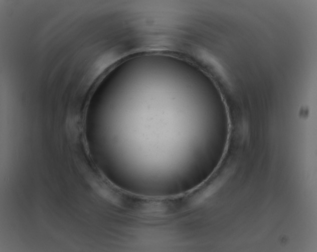 X0000094921457200712131504