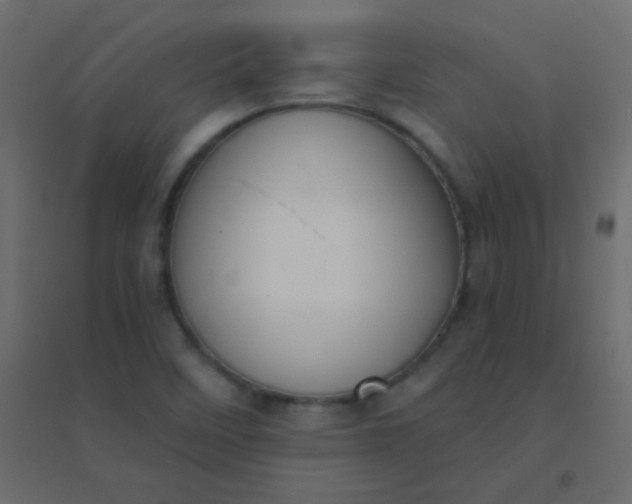 X0000094921458200712131504