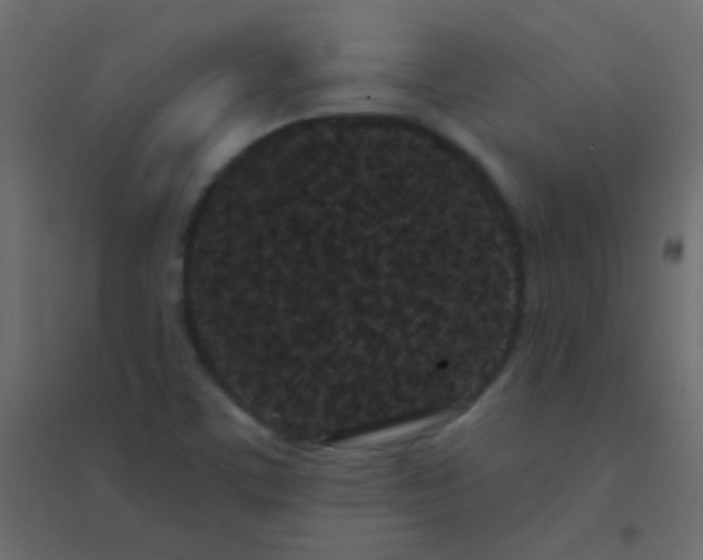 X0000094921459200712131504