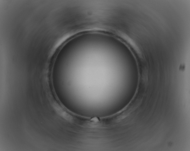 X0000094921460200712131504