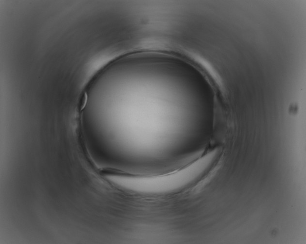 X0000094921461200712131504