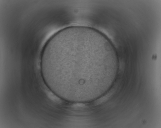 X0000094921462200712131504