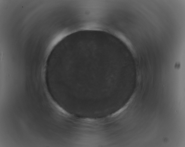 X0000094921463200712131504